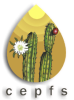logo4
